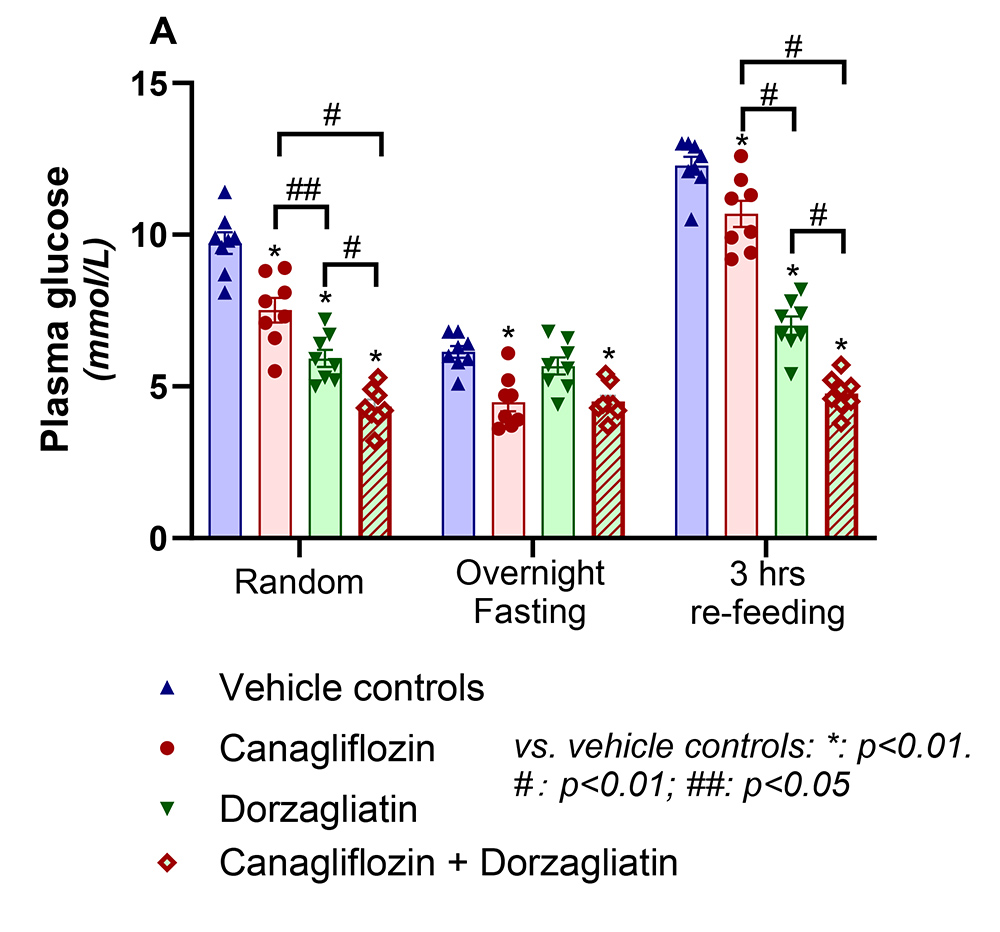 1719187608433260.jpg 01.jpg